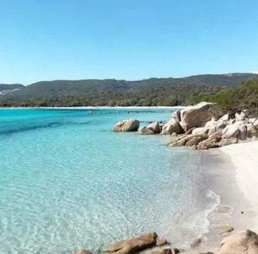 Mini Proche Des Belles Plages Апартаменты Порто-Веккьо